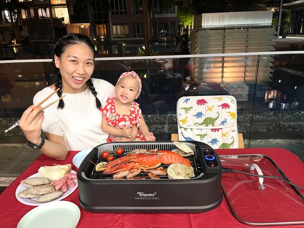 TOYOMI Electric Smokeless BBQ BBQ 2002 By Alison