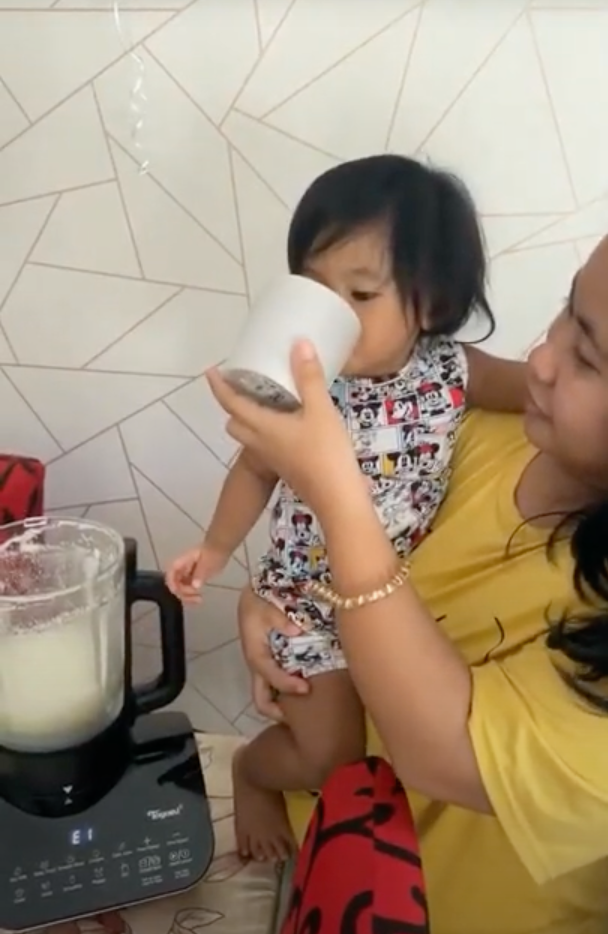 TOYOMI 1.75L Hush Crusher Cooking Blender 1200W BLC 9811 By Nurulhuda Aziz