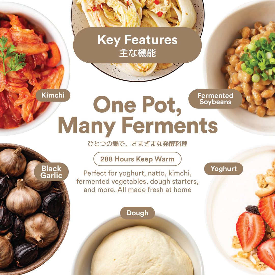 TOYOMI 5.0L Multi Healthy Fermentation Micro-com Pot (Black Garlic Maker) BGM 8810